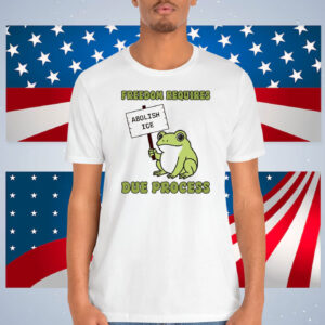 Freedom Requires Due Process Abolish Ice Shirt