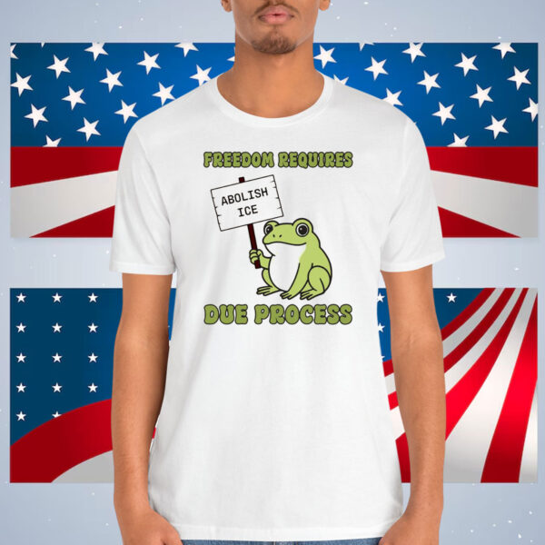 Freedom Requires Due Process Abolish Ice Shirt