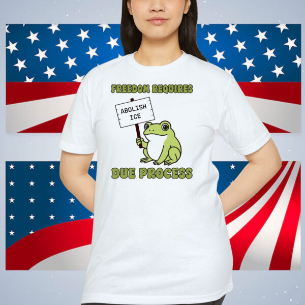 Freedom Requires Due Process Abolish Ice Shirt