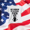 No Human Is Illegal Fuck ICE T-Shirt